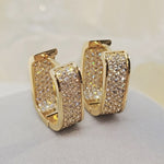 Load image into Gallery viewer, Archette Gold Zirconia Earrings
