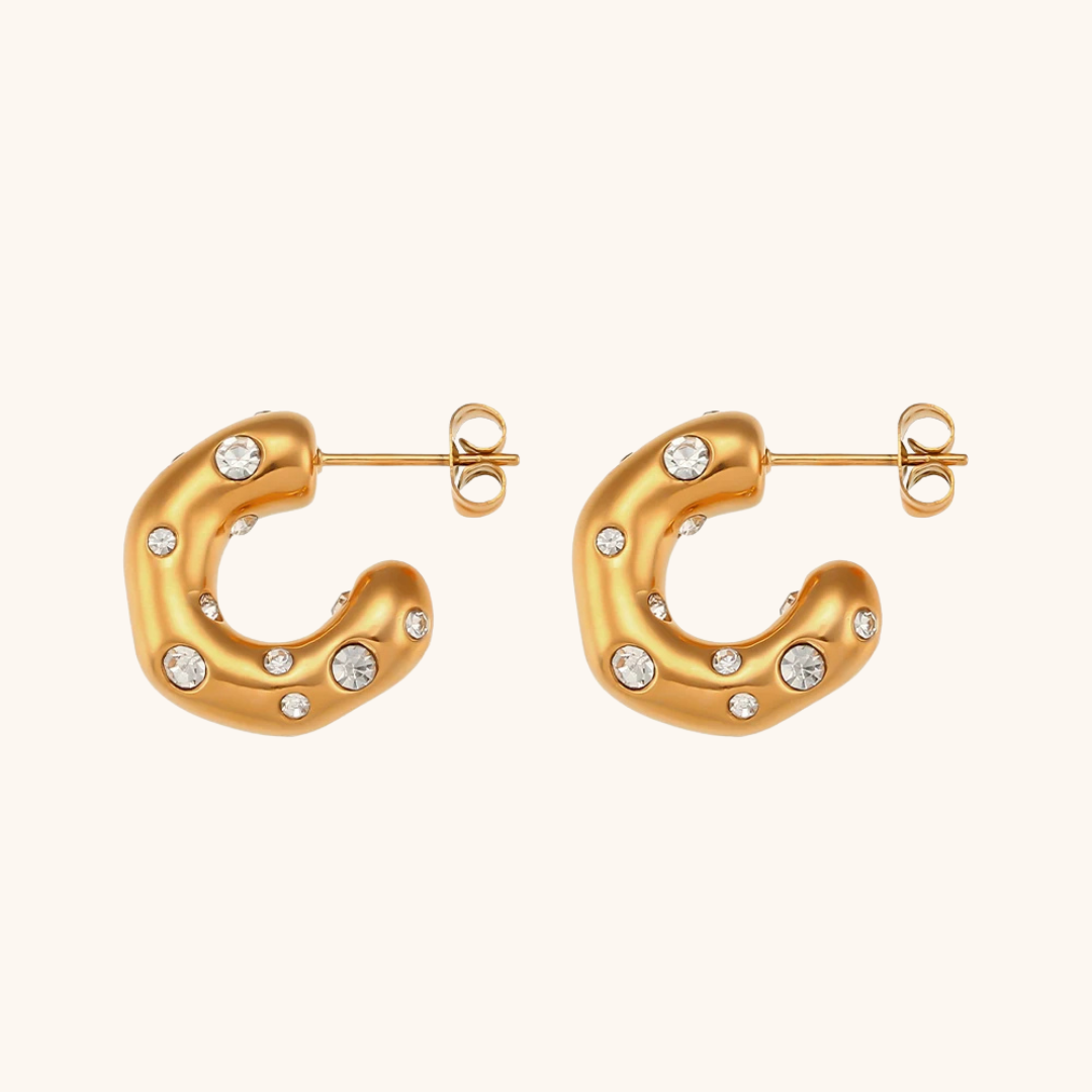 Ensera Gold CZ Earrings
